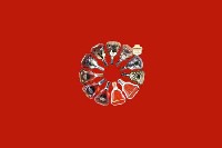绍兴市柯桥区回收红酒